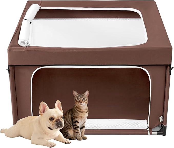 Cat Doors