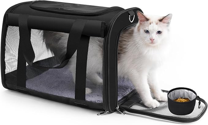 Carriers & Strollers