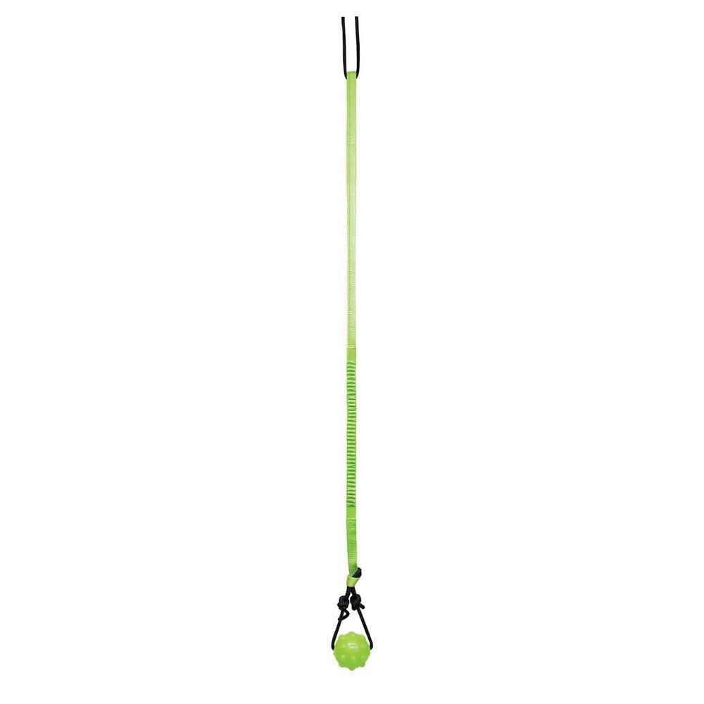 Jolly Pets Tree Tugger Interactive Bungee Dog Toy, Green