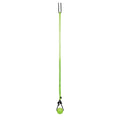 Jolly Pets Tree Tugger Interactive Bungee Dog Toy, Green