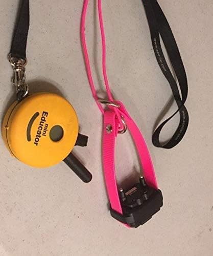 Sparky Pet Co Surefit 1 Inch Bungee Dog Collar, Waterproof Biothane E-Collar Replacement Strap with Nexus Wheel Lock, Fits Garmin, Dogtra, SportDOG & Educator (Yellow)