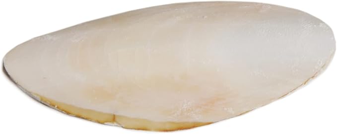 Prevue Pet Products Bpv1143 5-Inch Bird Cuttlebone, Medium (Pack of 2)