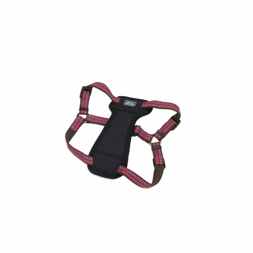 Coastal Pet K9 Explorer Reflective Adjustable Padded Dog Harness - Plush Chest Pad for Comfort - No-Pull Dog Harness for Small and Large Dogs - Berry - 5/8" x 12"-18", X-Small