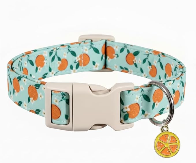 Britwicfr Dog Collar, Spring Summer Dog Collar with Orange Print and Charm, Cute Spring Summer Fruit Collar with Soft & Breathable Fabric, Adjustable Pet Collar for Medium Dogs