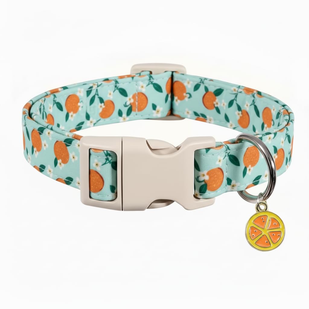 Britwicfr Green Dog Collar, Cute Spring Theme Dog Collar with Green Clover Print for Small Dogs, Small Puppy Collar for Girl Dogs & Boy Dogs, S