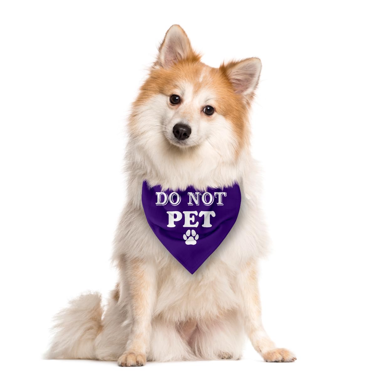 Do Not Pet Dog Bandana - Red Triangle Scarf, Funny Cute Pet Accessory, Gift for Dog Lover, for Small Medium Large Dogs (D37)