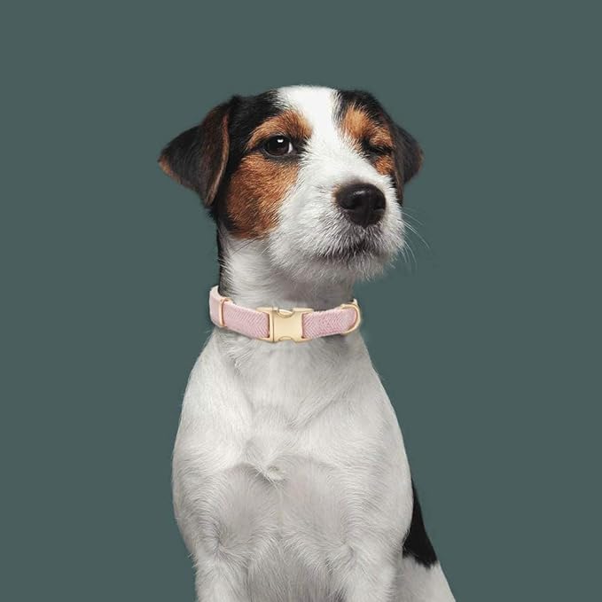 YUDOTE Soft Cotton Hemp Dog Collar with Metal Buckle Adjustable Twilled Dog Collars for Female Small Medium Large Dogs(Pink,Medium)