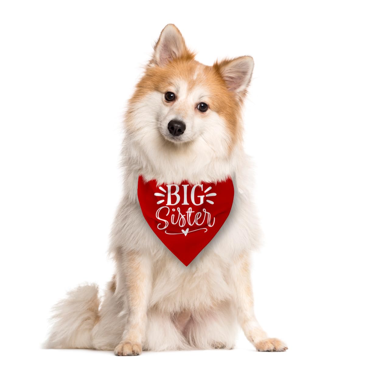 Big Sister Dog Bandana, White Pet Triangle Scarf Accessories, Pet Bandana for Large Dogs, Baby Announcement Dog Bandanas (L)