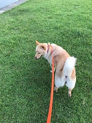 AMAGOOD Dog/Puppy Obedience Recall Training Agility Lead-15 ft 20 ft 30 ft 50 ft Long Leash-for Dog Training,Tie Out,Play,Safety,Camping (15Feet x 1Inch, Blue)
