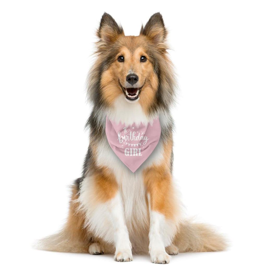 Birthday Girl Dog Bandana - Pink, Funny, Cute Triangle Scarf for Small, Medium, Large Dogs - Pet Accessories, Gift for Dog Lovers (D31)