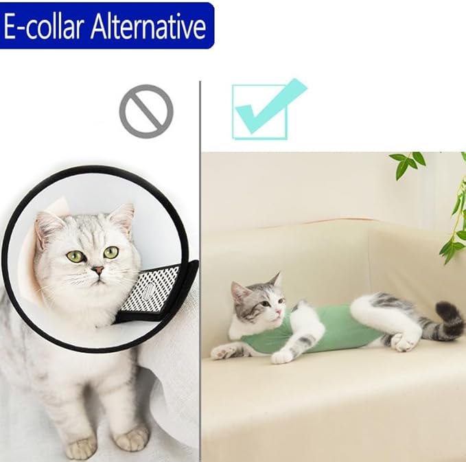 kzrfojy Cat Recovery Suit Cat Onesie for Cats After Surgery Female Male Spay Kitten Neuter Surgical Bodysuit Post Surgery Cone of Shame Alternative Anti Licking (Green, Small)