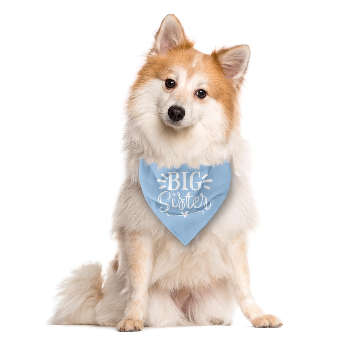 Big Sister Dog Bandana, White Pet Triangle Scarf Accessories, Pet Bandana for Large Dogs, Baby Announcement Dog Bandanas (L)