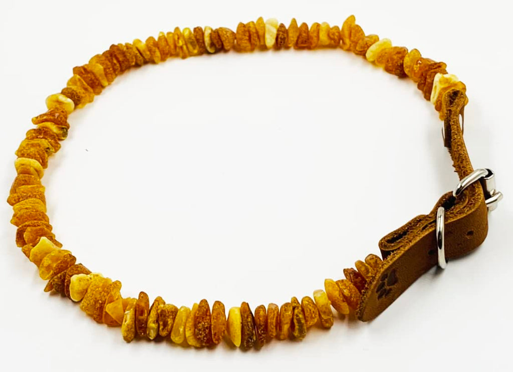 Baltic Amber Dog & Cat Collar with Adjustable Leather Strap - Raw Knotted Amber Beads (40-45cm)