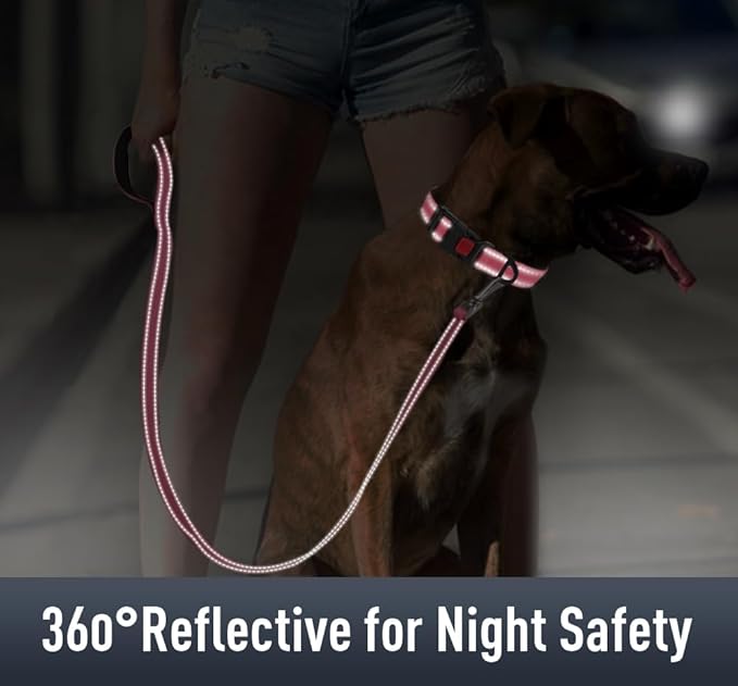 Airtag Dog Collar with AirTag Holder for Small Dogs, Reflective, Soft Padded & Safety Locking Buckle, Nylon Pet Collars Adjustable for All Breeds, Pink,S