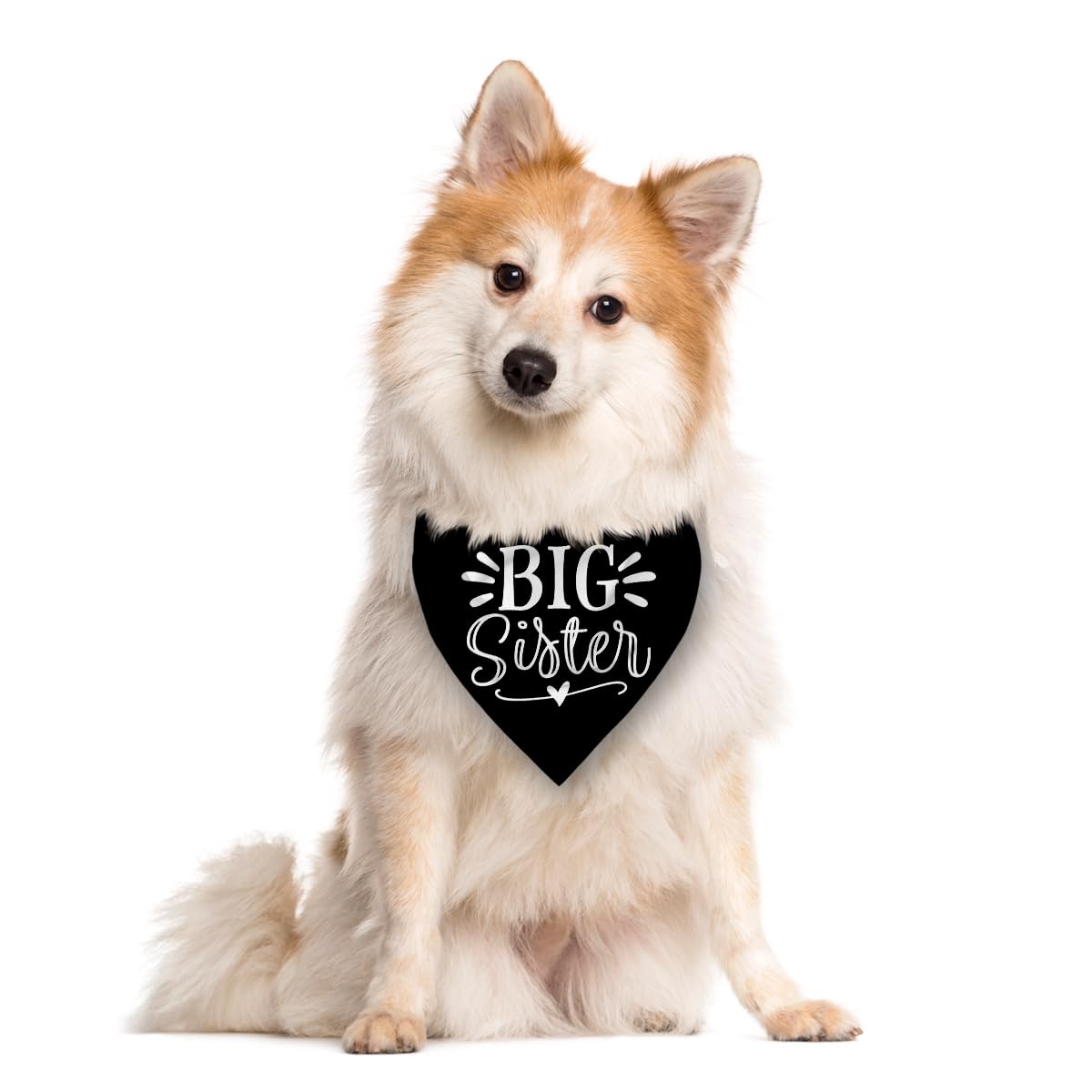Big Sister Bandana for Dogs, Pet Pregnancy Announcement, Black Dog Bandana, Dog Bandanas for Large Dogs (L)