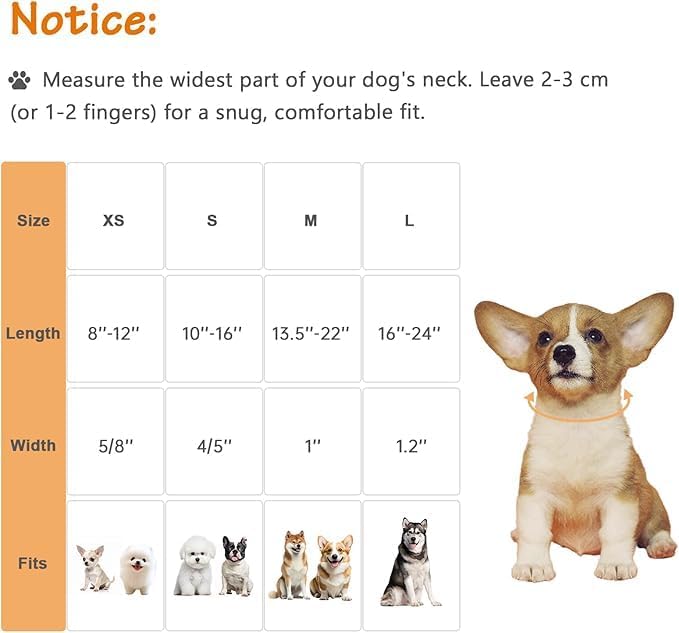 Astdogio Dog Collar for Extra Small Dogs, Spring &Summer Theme Orange Small Dog Collars with Flower Pattern, Adjustable Puppy Dog Collars, Cute Girl or Boy Dog Collar Ideal for Gifts,Pet Accessory,M