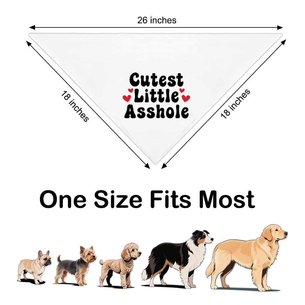 ZBBFSCSB Cutest Little Asshole White Dog Bandana, Cute Soft Pet Scarf Decor, Funny Pet Bandanas Accessories for Outdoor Camping Playtime, Birthday Thanksgiving Gifts for Pet Lover Dog Mom Dad