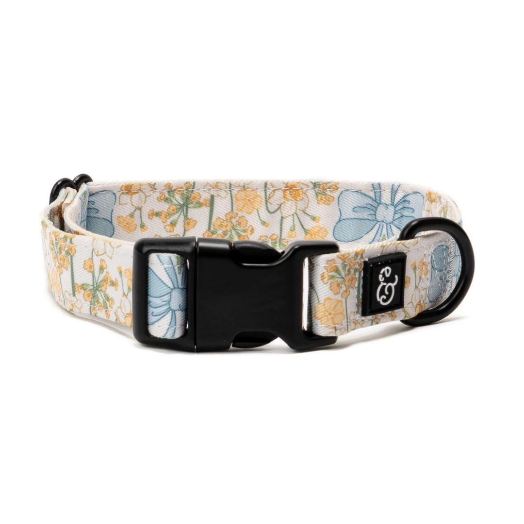 Lucy & Co. Dog Collar - Durable Lightweight Designer Collar for Pets - Adjustable Metal Safety Buckel. (Iced Coffee SZN Collar).