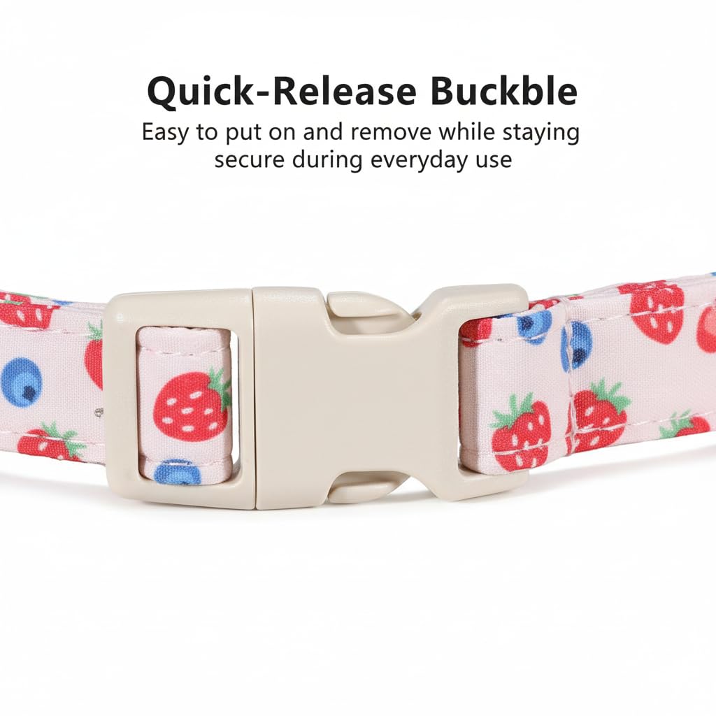 Britwicfr Girl Dog Collar, Cute Dog Collar for Medium Dogs with Cute Strawberry, Cherry and Blueberry Print, Pink Collar for Dogs with Quick-Release Buckle and Robust D Ring, M