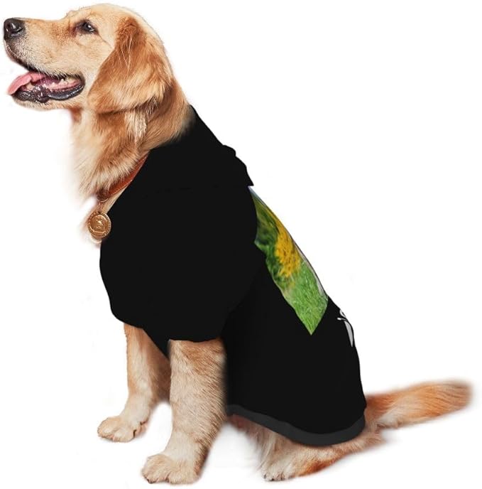 Custom Dog Hoodie Personalized Photo Text Logo Name Dog Clothes, Soft & Warm for Puppy Sweatshirt Hooded for Small Medium Large Dogs Girl/Boy Cats/Kitten, Orange, L