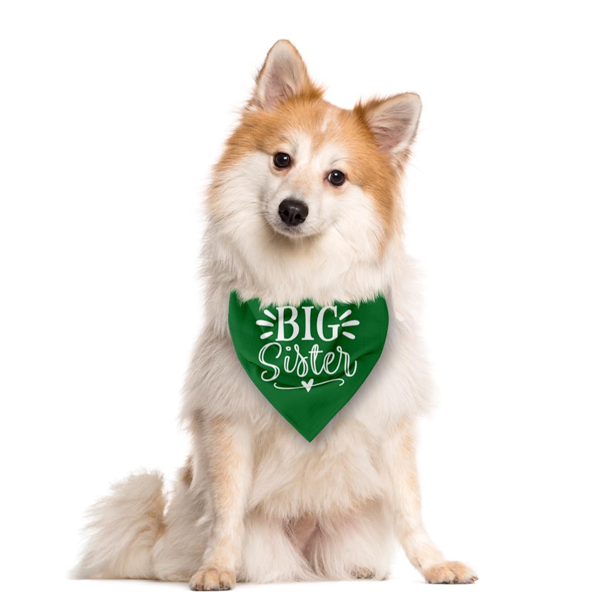 Big Sister Dog Bandana, White Pet Triangle Scarf Accessories, Pet Bandana for Large Dogs, Baby Announcement Dog Bandanas (L)