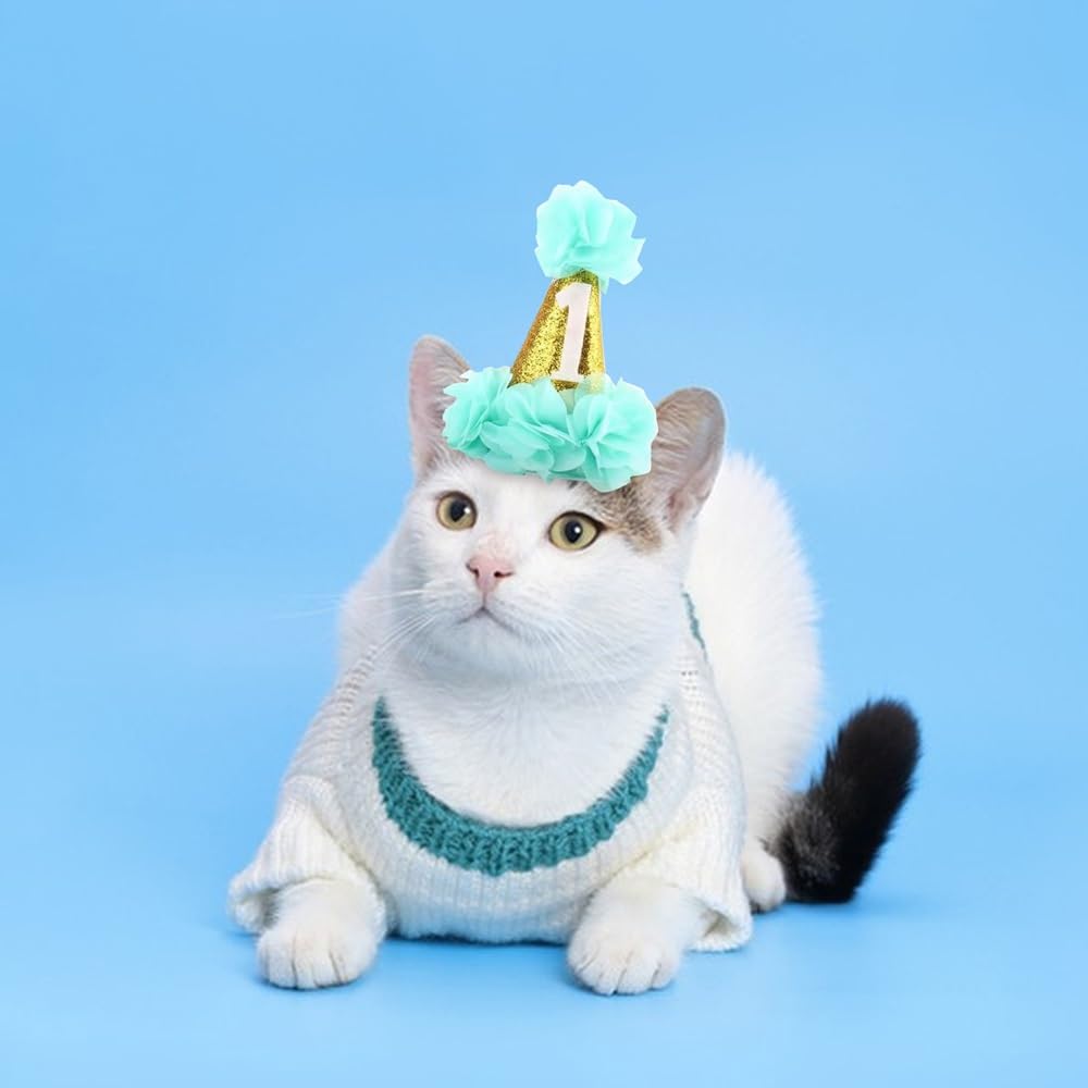 Stock Show 1st Pet Birthday Cone Hat Dogs Cats Holiday Party Hat Headwear Costume with Flowers Accessories and Adjustable Headband for Small Medium Dogs Cats Pets (Blue)