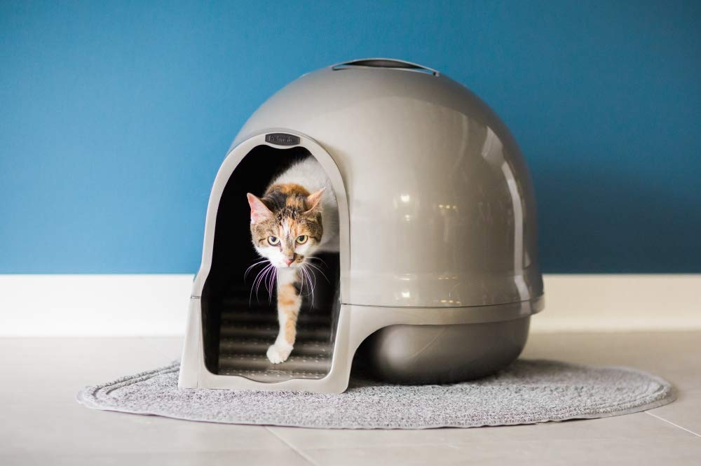 Petmate Booda Clean Step Cat Litter Box Dome (Made in the USA with 95% Recycled Materials)- Pearl White, Made in USA