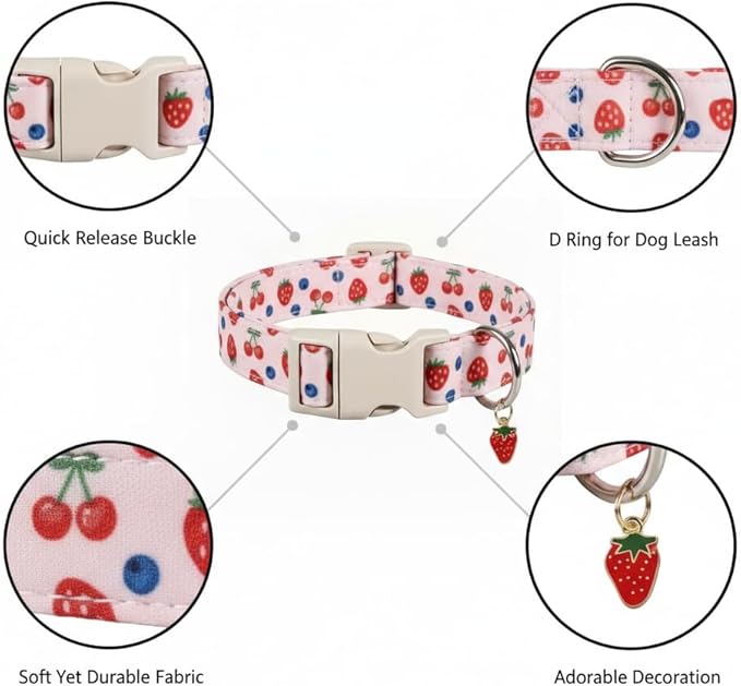 Britwicfr Small Dog Collar, Cute Dog Collar for Puppy, Extra Small & Small Dogs, Strawberry Blueberry Collar for Girl Female Dogs, XS