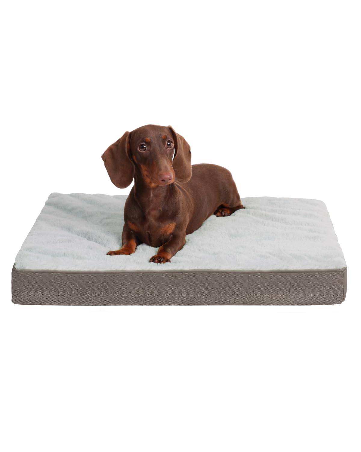 KSIIA Orthopedic Dog Bed for Large Dogs with Waterproof Lining, Khaki,35x22