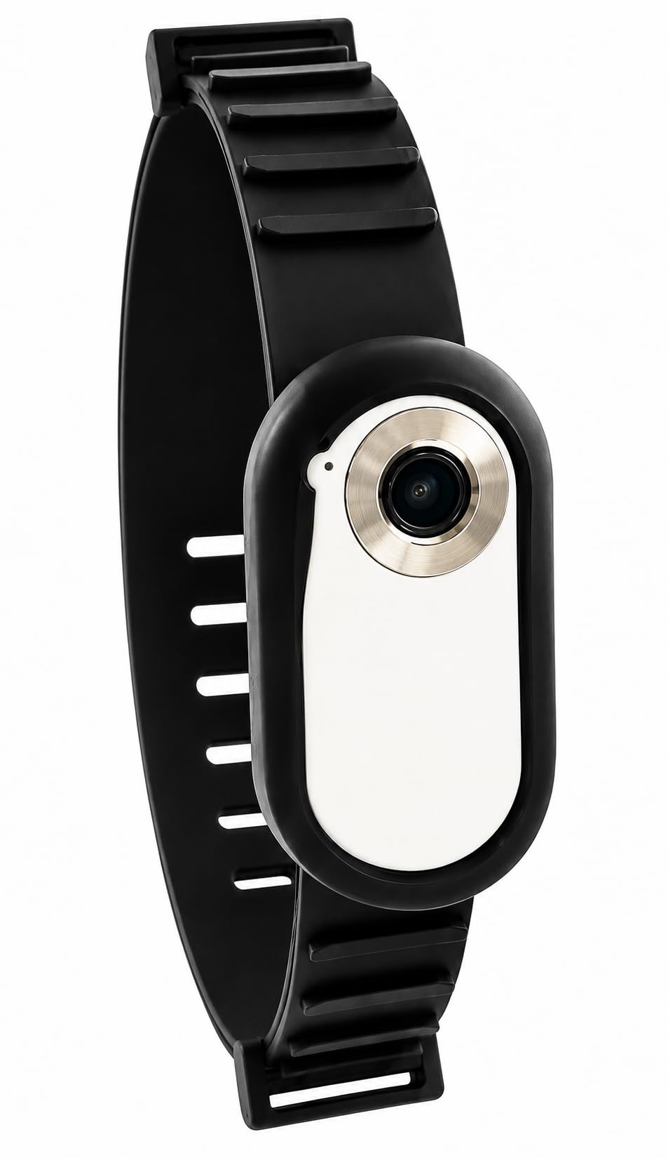 TOYDYLAN Dog & Cat Collar Camera for Small Dogs & Cats