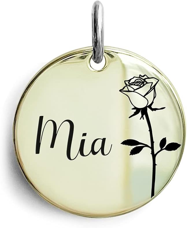 Cats Dogs ID Tags Personalized Engraving Birth Flowers Pattern for Custom Pets Collar Accessories 316L Stainless Steel Medium Round Name Plate
