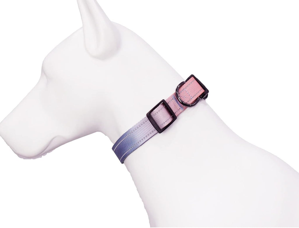 Roses&Poetry Reflective Dog Collar with Gradient Azure, Adjustable Durable Pet Collars for Small Medium Large Dogs (Azure-S)