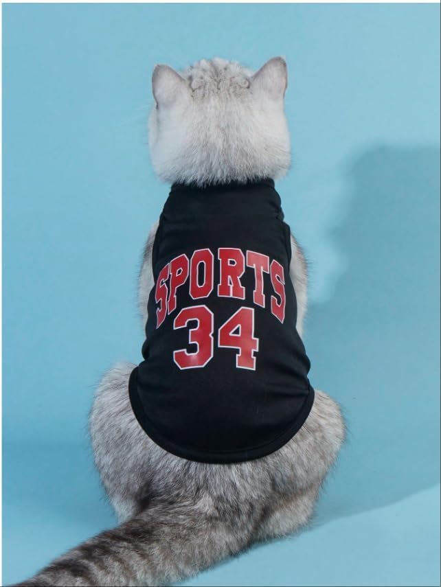 Custom Dog Shirt,Personalized Pet Apparel with Name Text Photo Image,Lightweight Breathable Puppy Kitten Cotton Vest for Small Medium Dogs Cats,Puppy Gift (Blue, Medium)