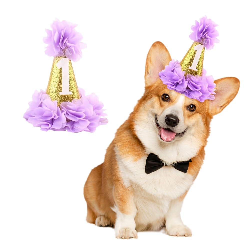 Stock Show 1st Pet Birthday Cone Hat Dogs Cats Holiday Party Hat Headwear Costume with Flowers Accessories and Adjustable Headband for Small Medium Dogs Cats Pets (Blue)