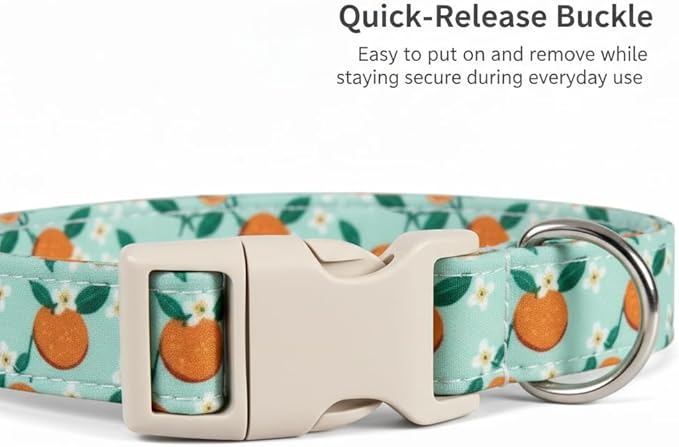 Britwicfr Dog Collar, Spring Summer Dog Collar with Orange Print and Charm, Cute Spring Summer Fruit Collar with Soft & Breathable Fabric, Adjustable Pet Collar for Medium Dogs