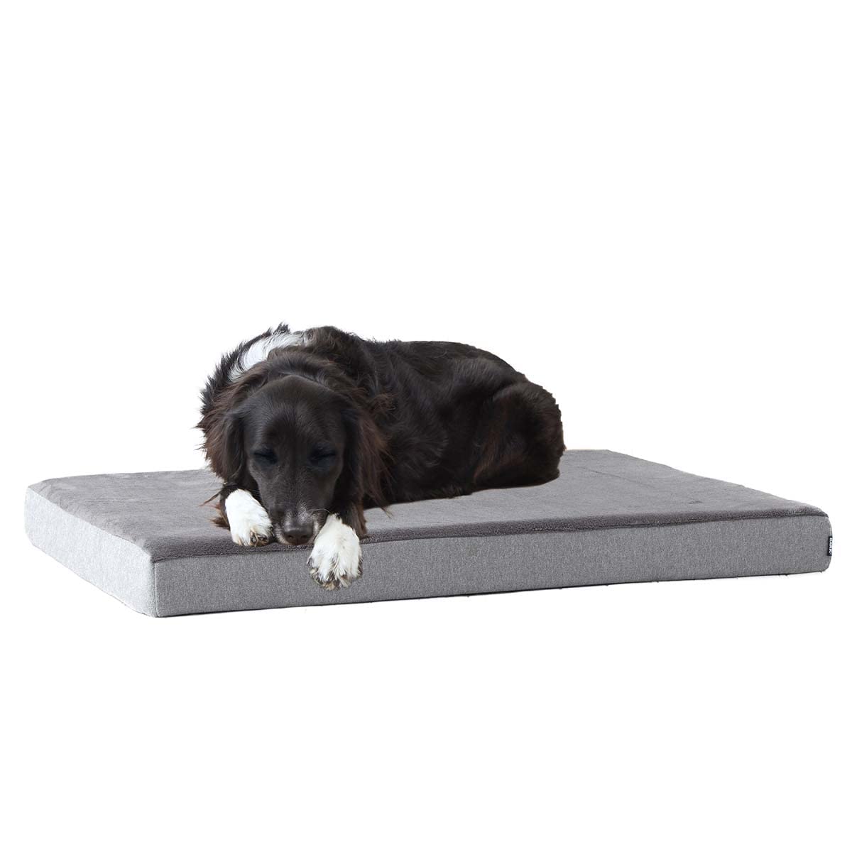 BarkBox Orthopedic Dog Bed - Small