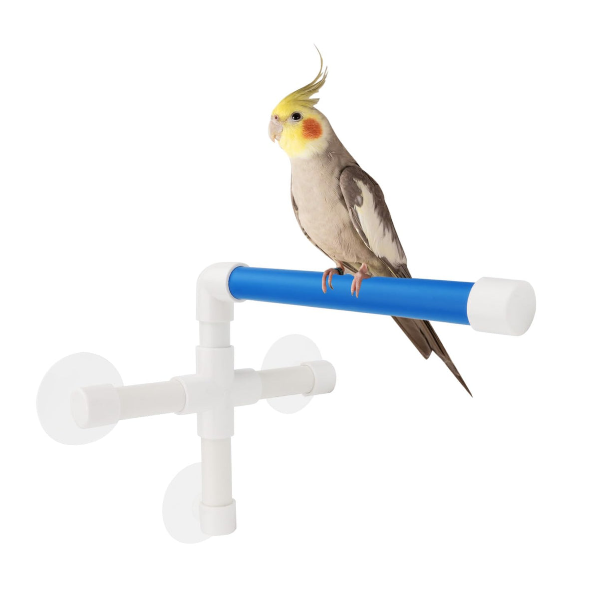Hypeety Portable Suction Cup Bird Window and Shower Perch Toy Parrot Stand