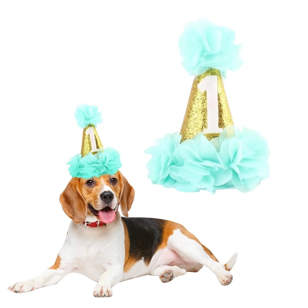 Stock Show 1st Pet Birthday Cone Hat Dogs Cats Holiday Party Hat Headwear Costume with Flowers Accessories and Adjustable Headband for Small Medium Dogs Cats Pets (Blue)