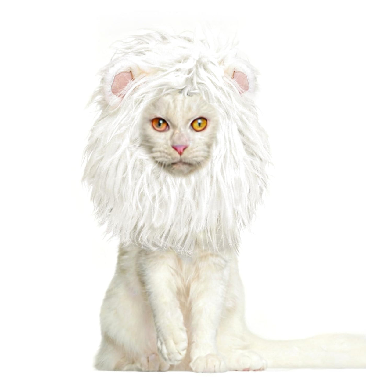 Onmygogo Lion Mane Wig for Cats, Funny Pet Cat Costumes for Halloween Christmas, Furry Pet Clothing Accessories (Size M, Melange Brown)