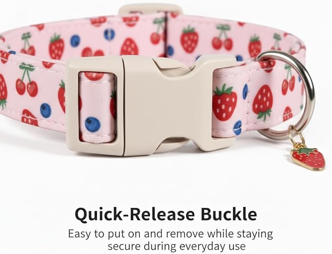 Britwicfr Pink Dog Collar, Female Dog Collar for Large Dogs with Strawberry, Cherry and Blueberry Print, Spring Summer Collar Made of Durable Soft Fabric, L