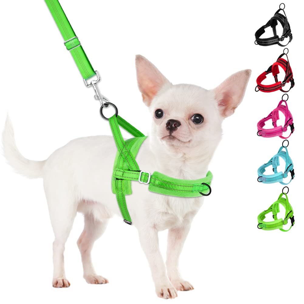 SlowTon No Pull Small Dog Harness and Leash Set with Front Clip