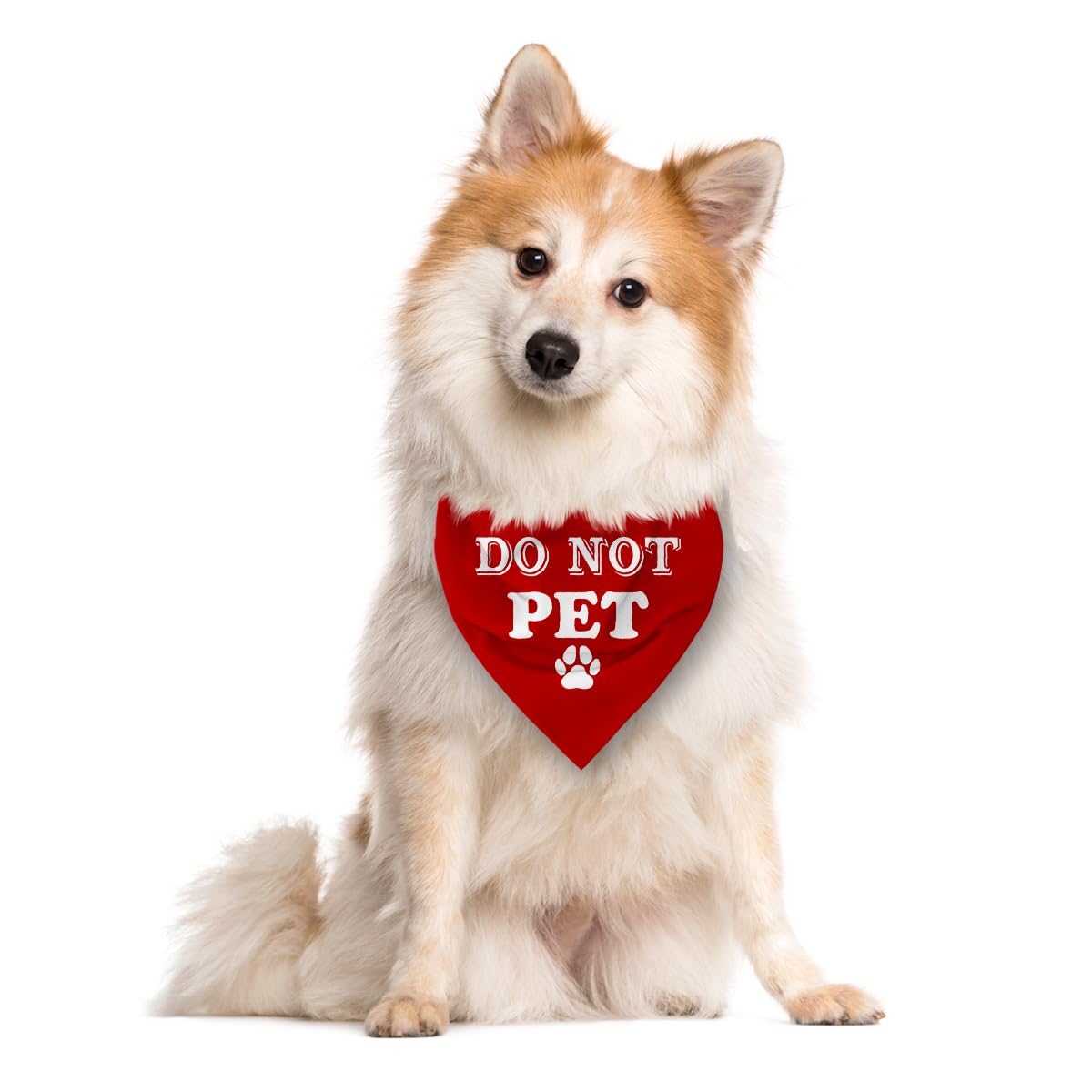 Do Not Pet Dog Bandana - Red Triangle Scarf, Funny Cute Pet Accessory, Gift for Dog Lover, for Small Medium Large Dogs (D37)