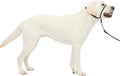 PetSafe Gentle Leader No-Pull Dog Headcollar - The Ultimate Solution to Pulling - Redirects Your Dog's Pulling for Easier Walks - Helps You Regain Control - Large, Charcoal