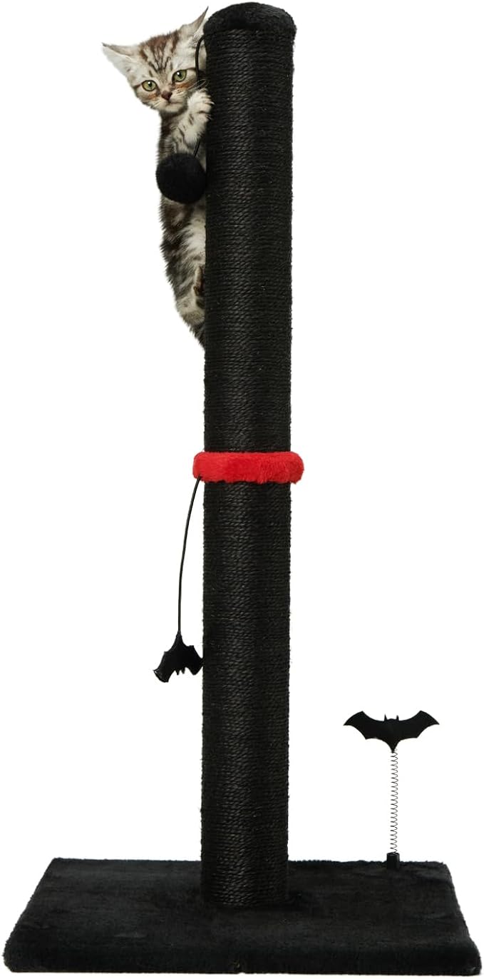 MECOOL Cat Scratching Post Premium Basics Kitten Scratcher Sisal Scratch Posts with Hanging Ball 22" for Kittens or Smaller Cats (22 inches for Kitten