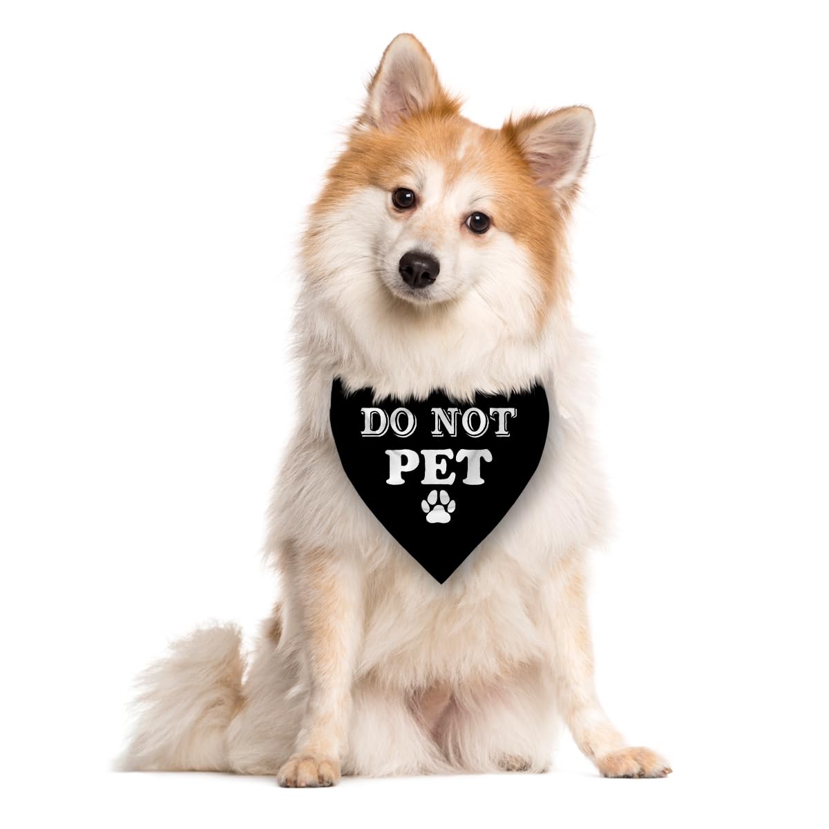 Do Not Pet Dog Bandana - Red Triangle Scarf, Funny Cute Pet Accessory, Gift for Dog Lover, for Small Medium Large Dogs (D37)