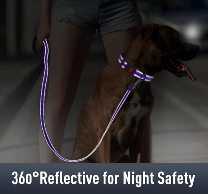 Erbine AirTag Dog Collar with AirTag Holder Compatible for Air Tag, Reflective Soft Padded, Safety Locking Buckle, Adjustable Nylon for Small Medium Large Dogs (Purple,S)