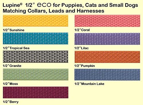 LupinePet Eco 1/2" Granite Cat Safety Collar with Bell , 8-12"