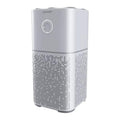 BISSELL Air180 Air Purifier For Home, Bedroom, HEPA Filter, Filters Smoke, Allergies, Pet Dander, Odor, Dust, Gray, 3496+