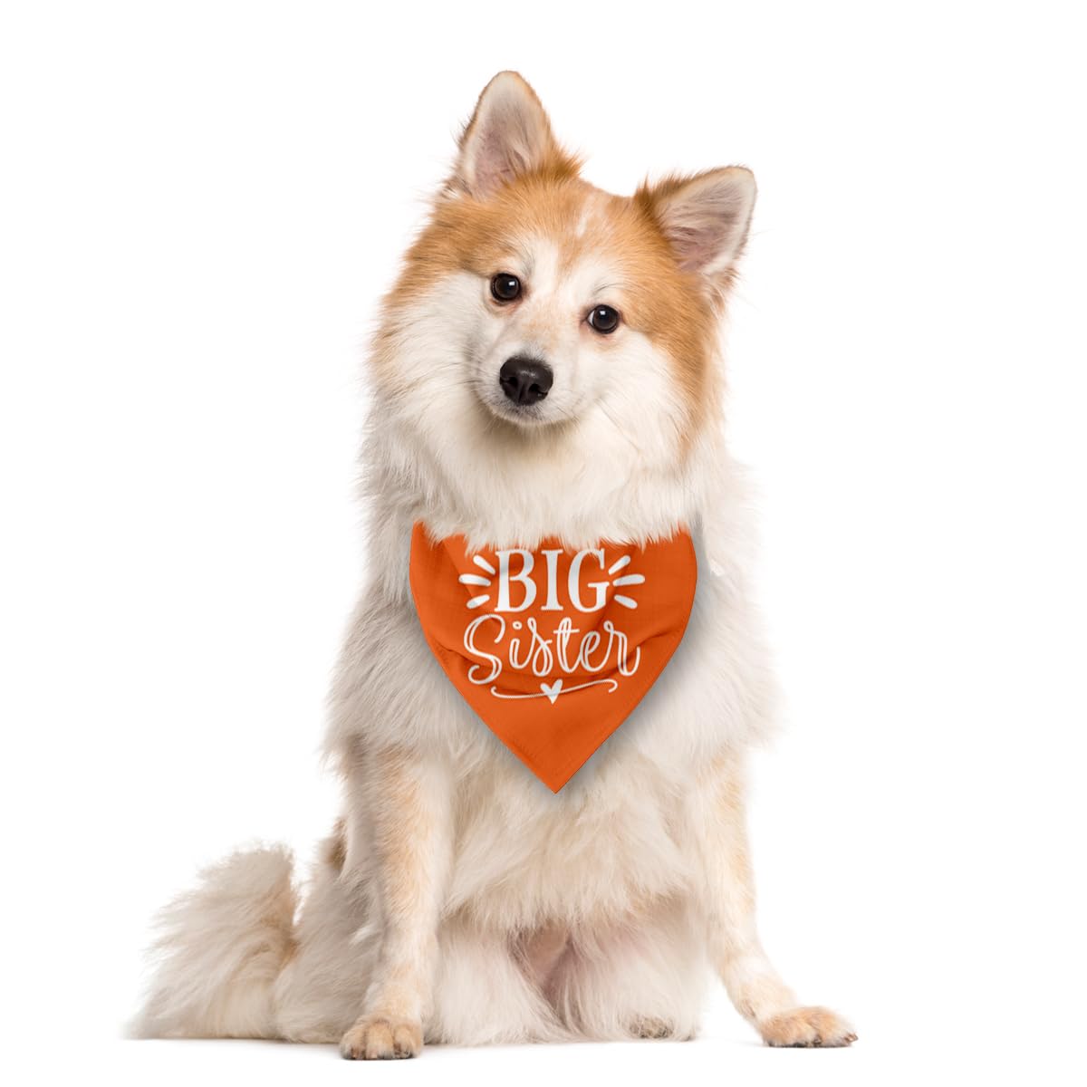 Big Sister Dog Bandana, White Pet Triangle Scarf Accessories, Pet Bandana for Large Dogs, Baby Announcement Dog Bandanas (L)