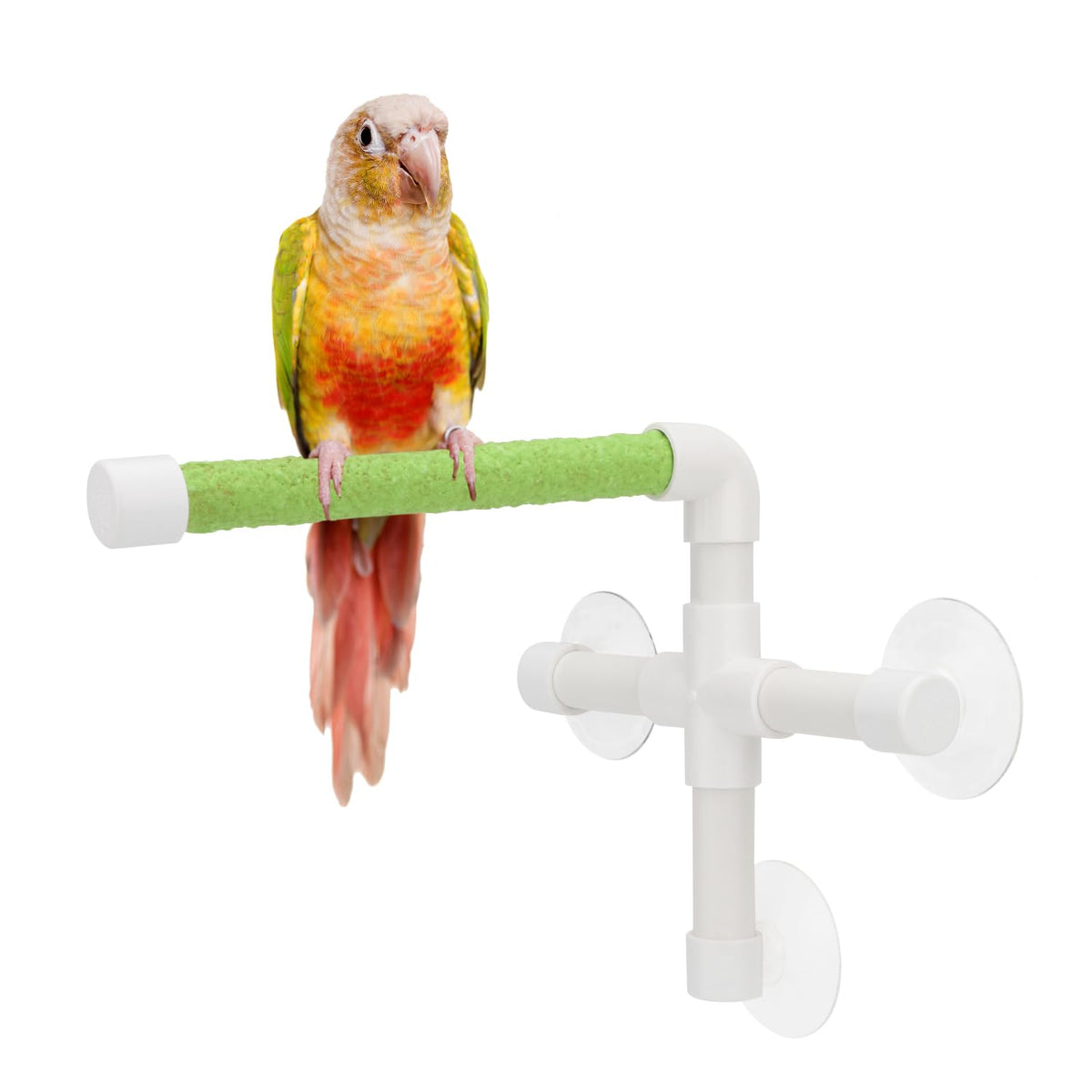 Hypeety Portable Suction Cup Bird Window and Shower Perch Toy Parrot Stand